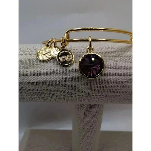 Alex And Ani February Birthstone Charm Bangle Amethyst Bracelet - Picture 2 of 4